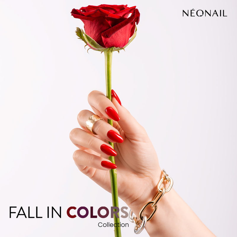 Elegant like a Rose